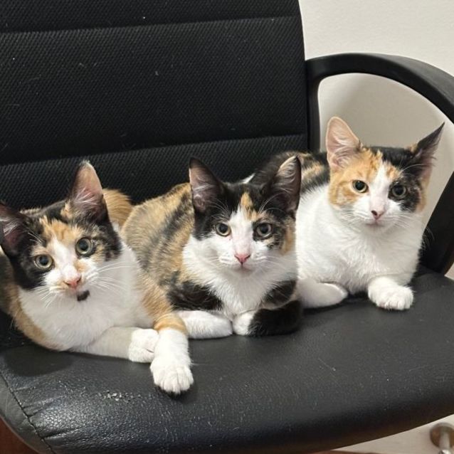 Photo of Maya & Margot 🌹