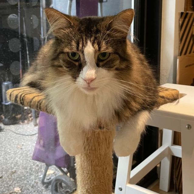 Photo of Timmy & Nash   Bonded Gentlemen 