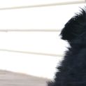 Photo of Andy