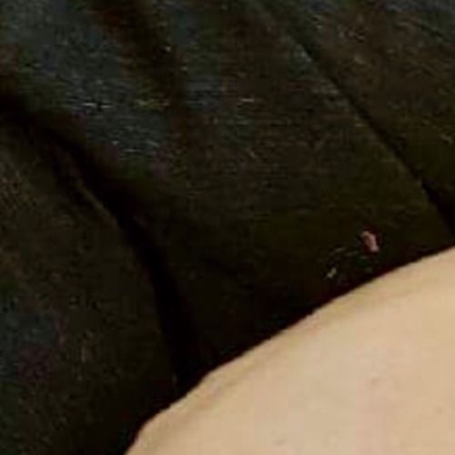 Lilly *On Trial in Her New Home*