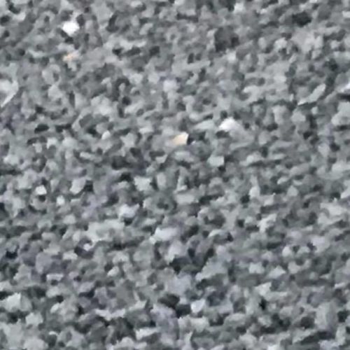 Locky! *On Trial in His New Home*