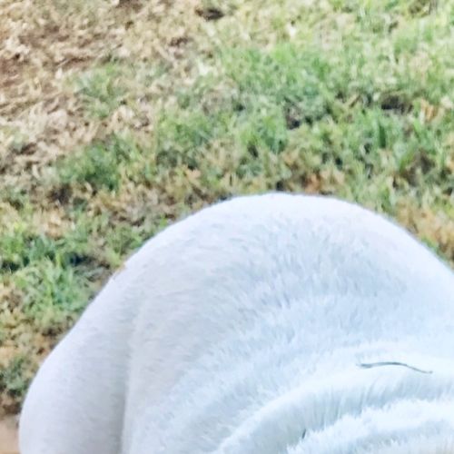 Storm *On Trial in His New Home*