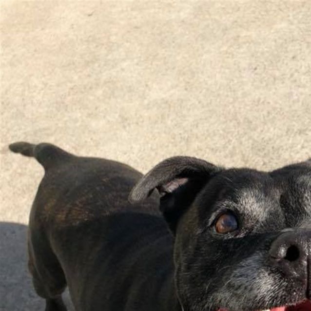 Photo of Winnie
