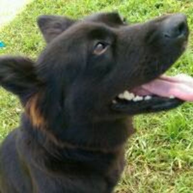 Photo of Velvet 