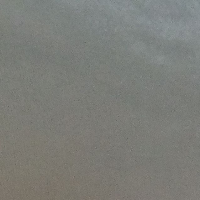 Photo of Pooky
