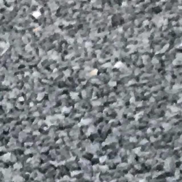 Photo of Locky! *On Trial In His New Home*