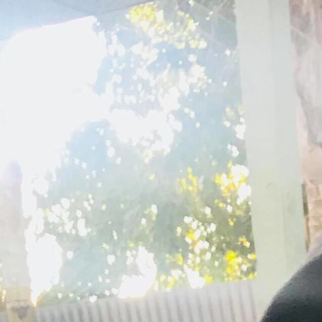 Photo of Daya *On Trial In Her New Home*