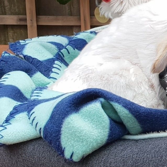 Photo of Mia And Princess