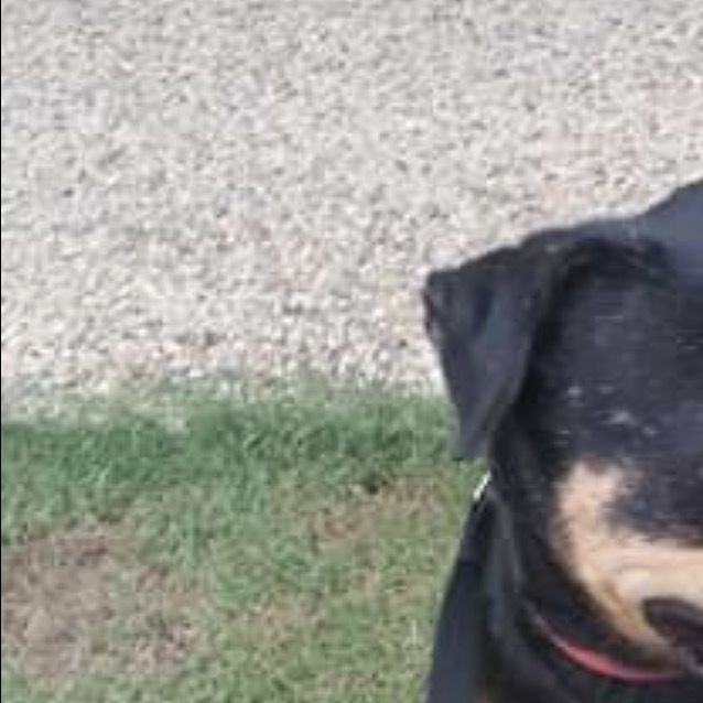 Photo of Spike 