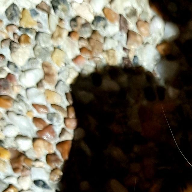 Photo of Topaz 