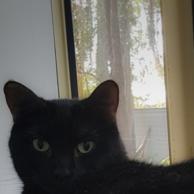 Photo of Ruby