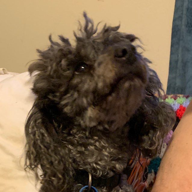 Photo of Bonnie