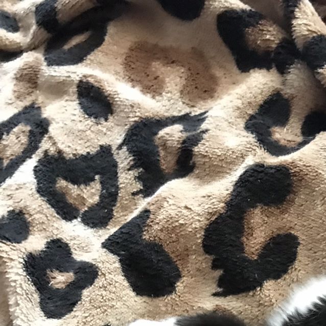 Photo of Gucci