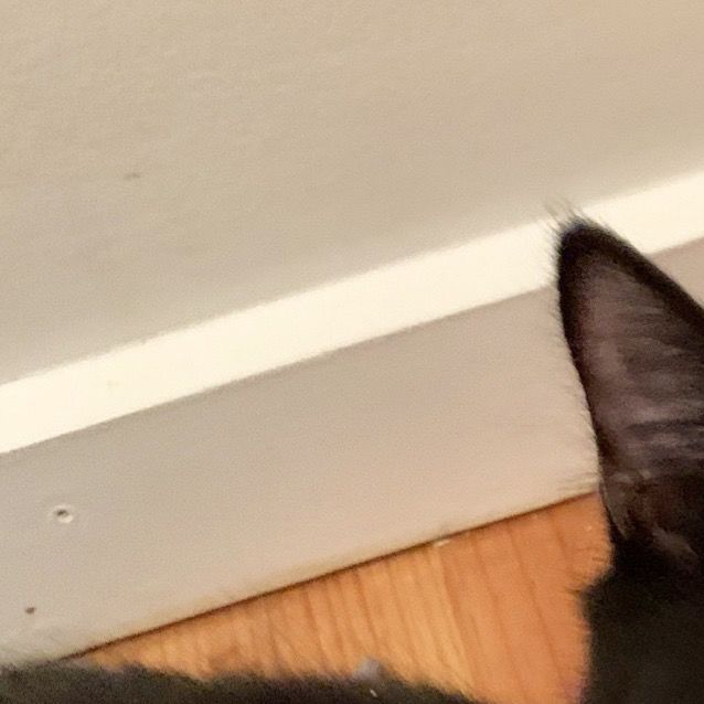 Photo of Neo 