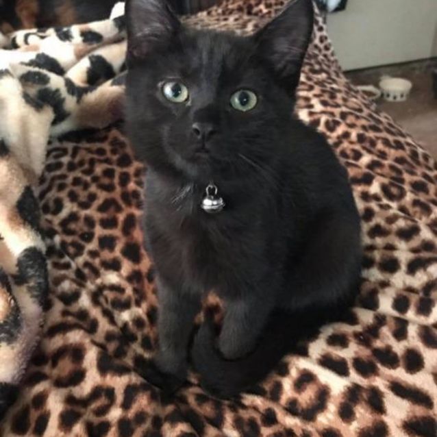 Photo of Versace
