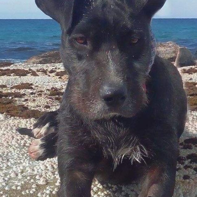 Photo of Missy