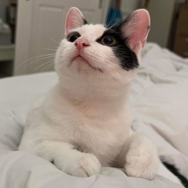 Photo of 🤍 Zedd 🤍