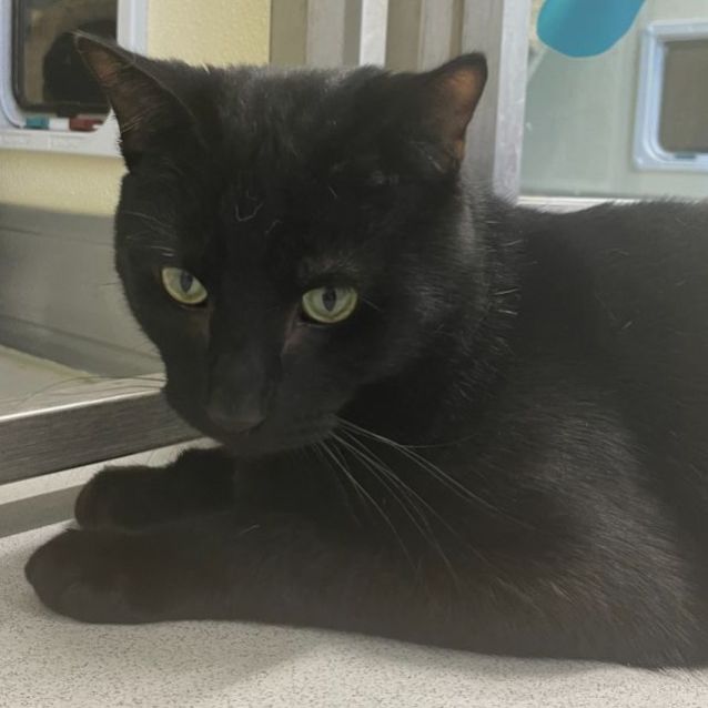 Photo of 👻Gomez F02585👻