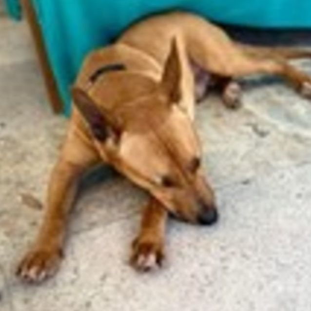 Photo of Cisco