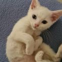Photo of Mimi