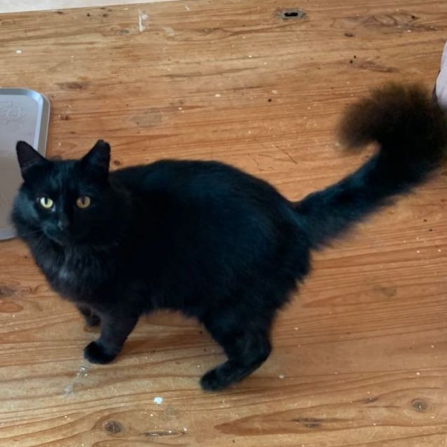 Photo of Jedd   Can Transport To You