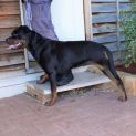 Photo of Spirit