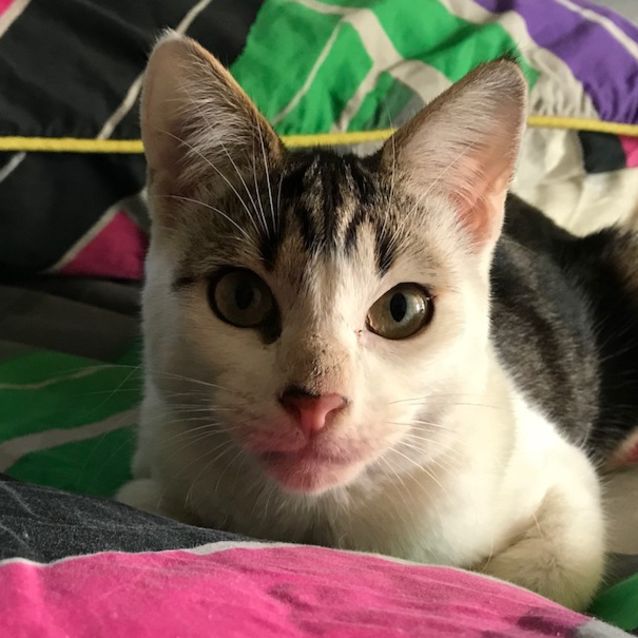 Photo of Bobby And Billy