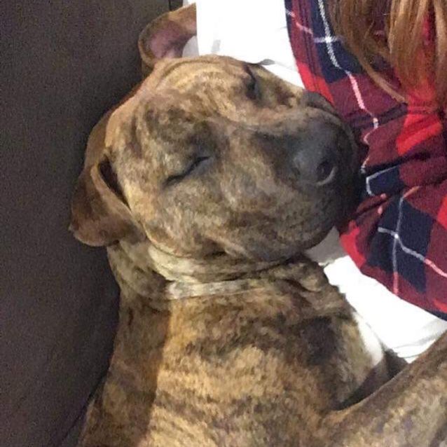 Photo of Calli Db556