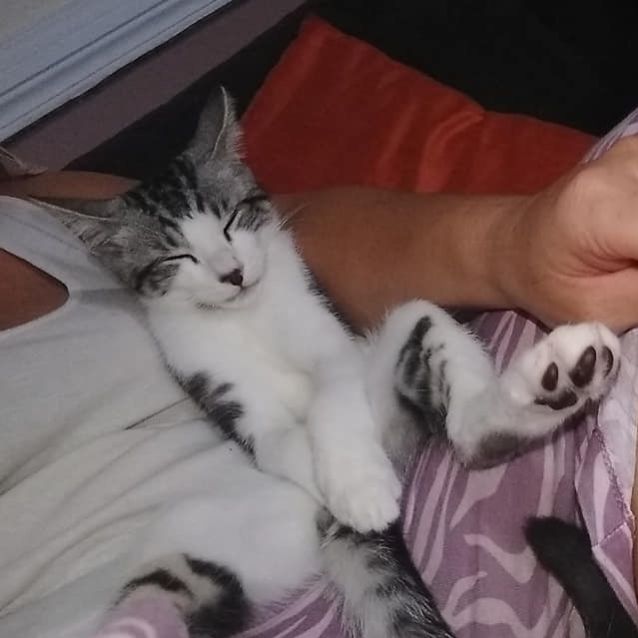 Photo of Rocket