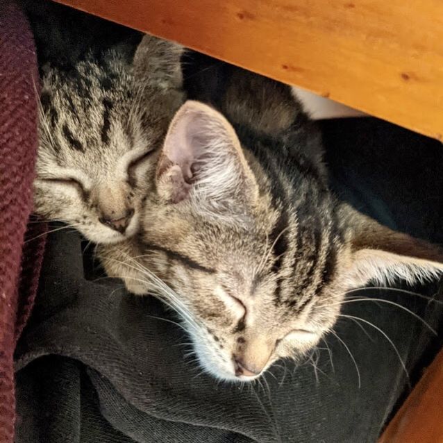 Photo of Stella & Hahn