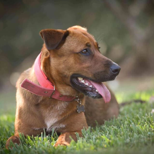 Photo of Axel