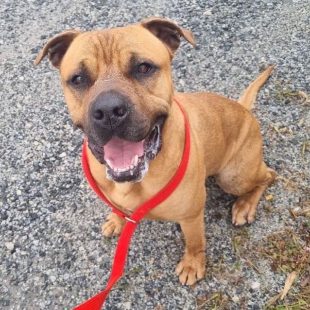 Photo of Zeke Dl2868