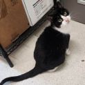 Photo of Nibbler (Located In Lynbrook)