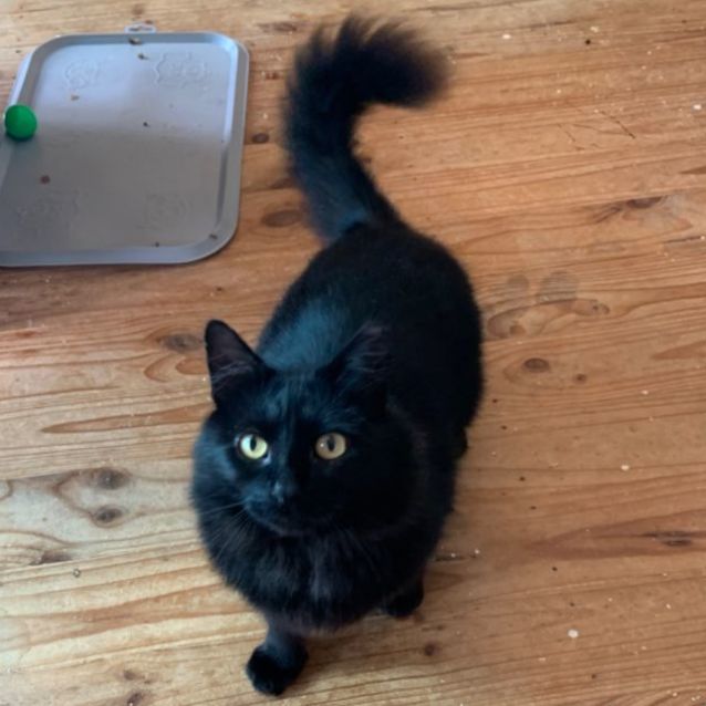 Photo of Jedd   Can Transport To You