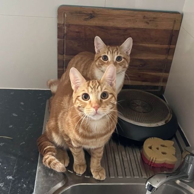 Photo of Oj And Ruben