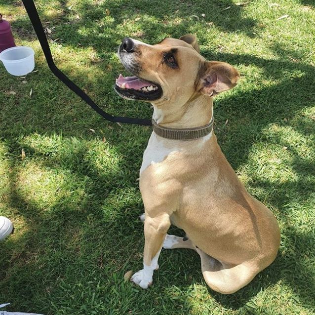 Photo of Nahla Dl2365