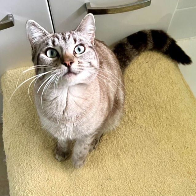 Photo of Peaches
