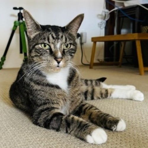 No photo for Brendan