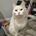 Photo of Fleur