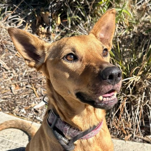 🌞 Summer 5983 🌞