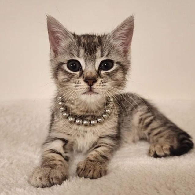 Photo of Hallie ❤️🌹