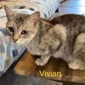 Photo of Vivian
