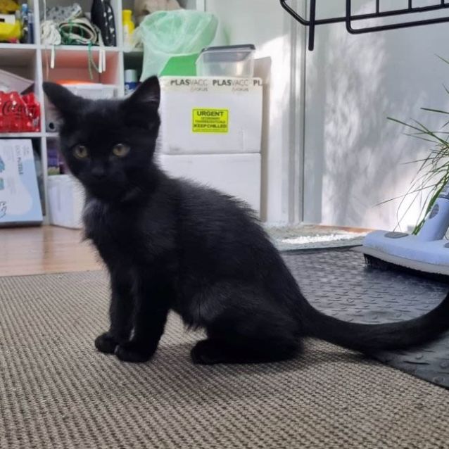 Photo of Peggy