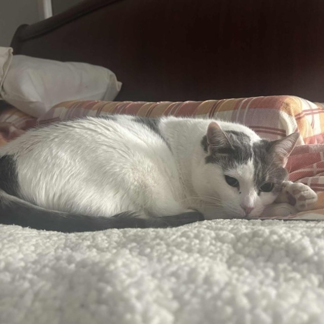 Photo of Bella & Kevin 💕