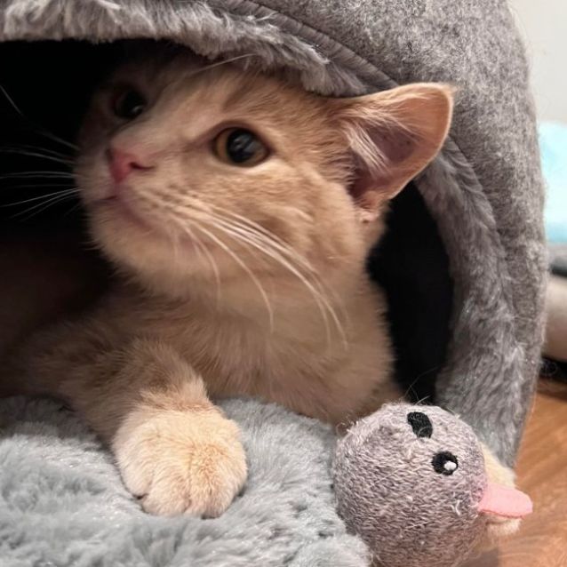 Photo of Sandy   Located In Doreen