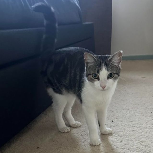 Photo of Delilah