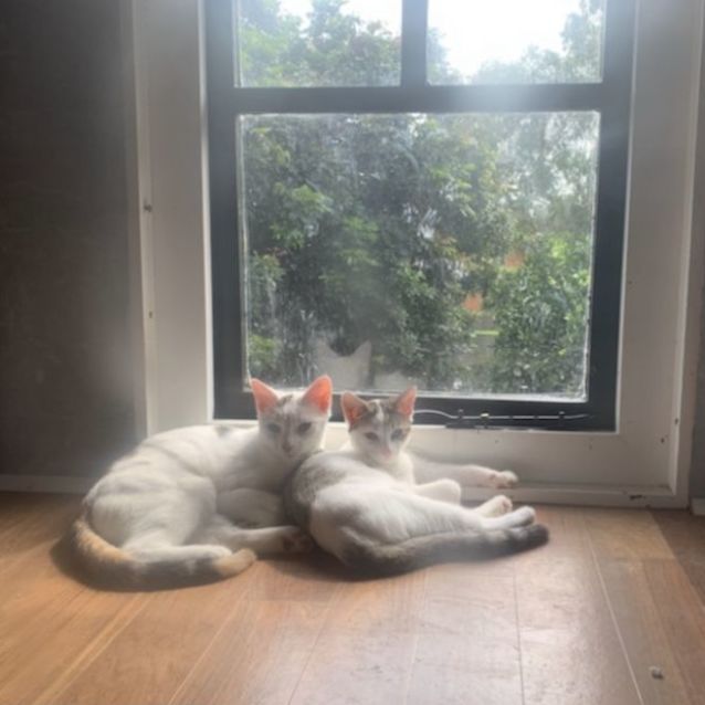 Photo of Holly & Hope 