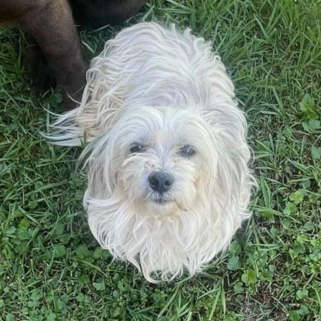 Photo of Molly And Sally