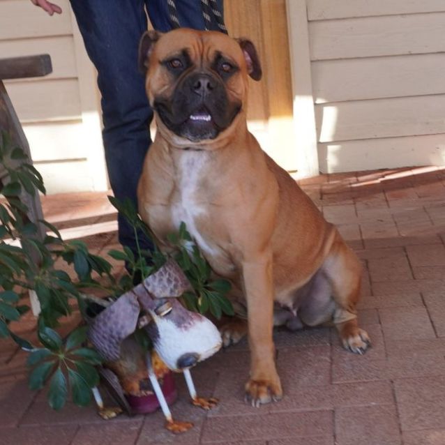 Photo of Prada