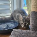 Photo of Cindy